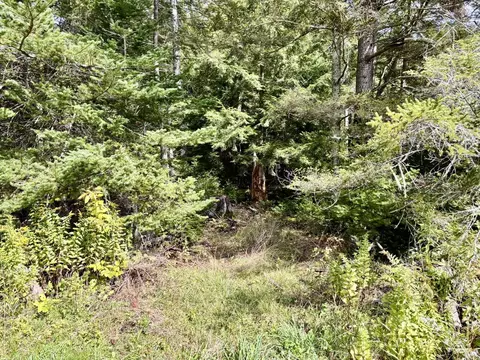 292 Parsons Rd, Whitingham, VT 05432 photo 22