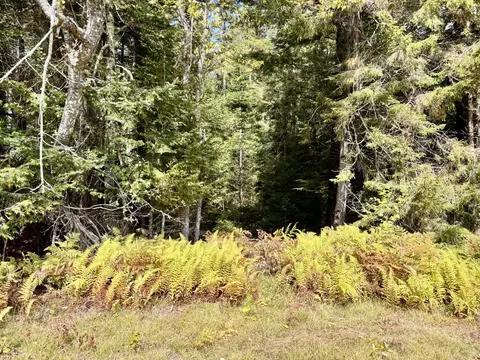 292 Parsons Rd, Whitingham, VT 05432 photo 24