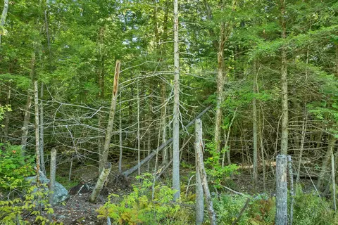 Rogers Road #343A, Barnstead, NH 03225 photo 25