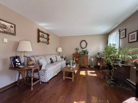 Living - 4 Michael Ave, Derry, NH 03038 photo 3 of 4