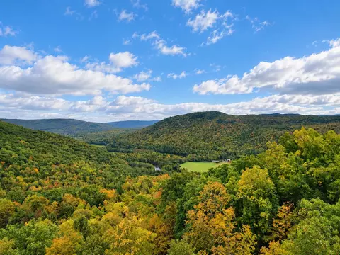 395 School Marm Ln, Townshend, VT 05353