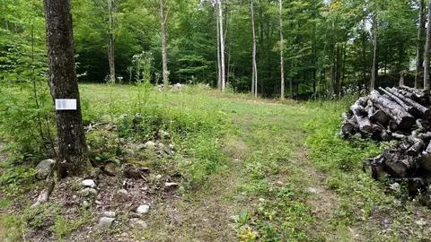 0 Pasquale St #LOT 11, Chittenden, VT 05737