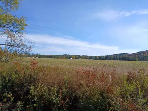 lot2 Creampoke Rd, Stewartstown, NH 03576