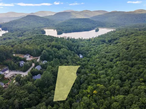 lot201 202 Frohock Brook Rd, Alton, NH 03810