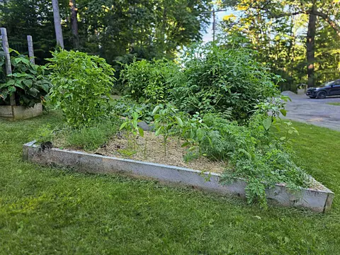 250 W Wind Way #37, Castleton, VT 05735 photo 22