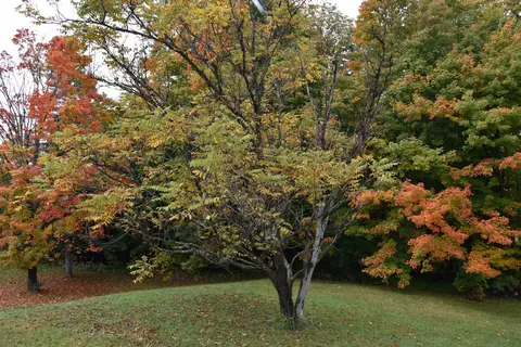 Exterior - 177 Websterville Rd, Barre, VT 05641 photo 18 of 20