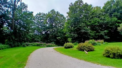 384 Duffy Rd, Milton, VT 05468 photo 7