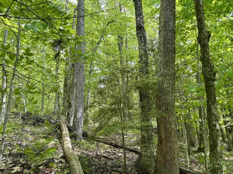 0 North Rd, Eden, VT 05653 photo 5