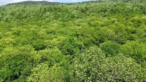 0 North Rd, Eden, VT 05653 photo 3