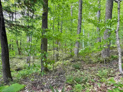 0 North Rd, Eden, VT 05653 photo 4