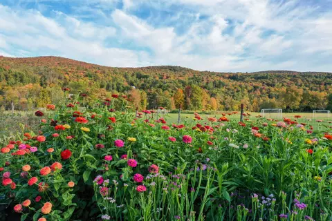 Other - 23 Calais Rd, Worcester, VT 05682 photo 1 of 6