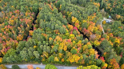 43 Melvin Mills Rd, Bradford, NH 03221