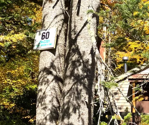 60 E Brook Xing #C-201, Wilmington, VT 05363