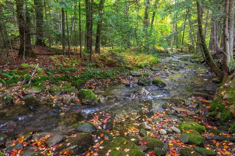 Other - 628 Moss Brook Rd, Peru, VT 05152 photo 7 of 7