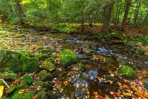 Other - 628 Moss Brook Rd, Peru, VT 05152 photo 6 of 7