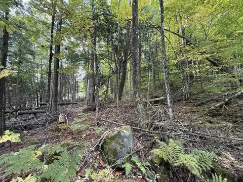 1648 S Barton Rd #LOT 2, Barton, VT 05822 photo 32