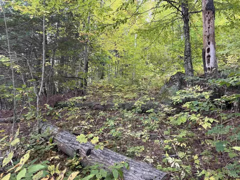 1648 S Barton Rd #LOT 2, Barton, VT 05822 photo 31