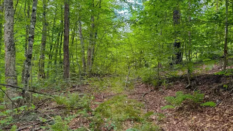 1930 Stone Chimney Rd, Reading, VT 05062 photo 17