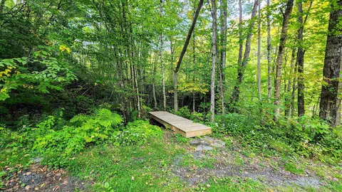 1930 Stone Chimney Rd, Reading, VT 05062 photo 23