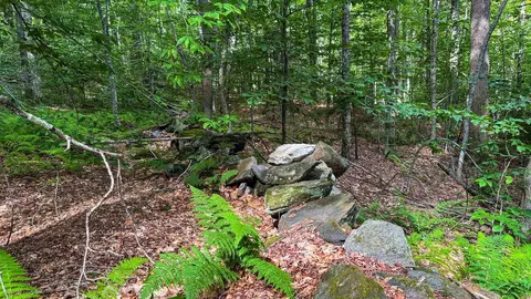 1930 Stone Chimney Rd, Reading, VT 05062 photo 2