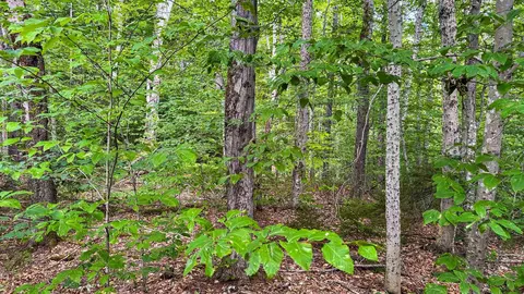 1930 Stone Chimney Rd, Reading, VT 05062 photo 25