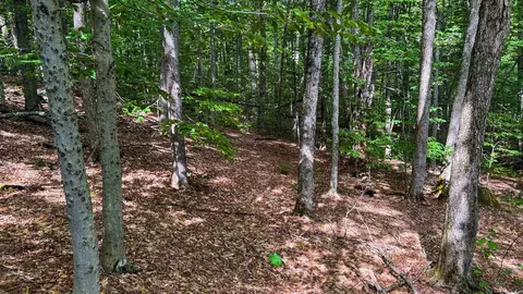 1930 Stone Chimney Rd, Reading, VT 05062 photo 29