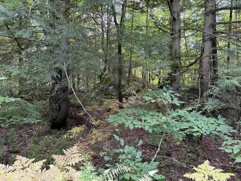 16-75 Ravenhead Ln, Hillsborough, NH 03244