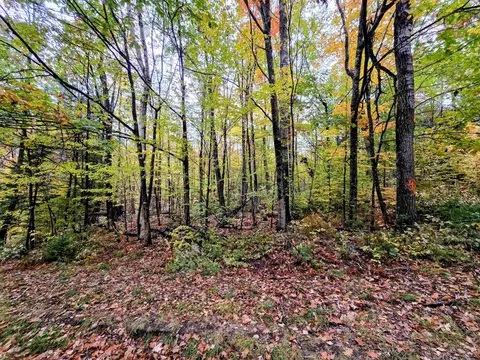 Blue Trail, Bath, NH 03740 photo 5