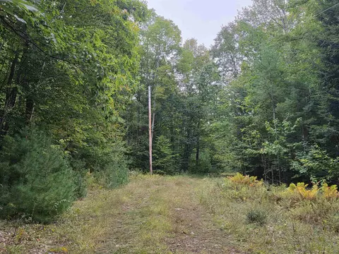 Blue Trail, Bath, NH 03740 photo 7