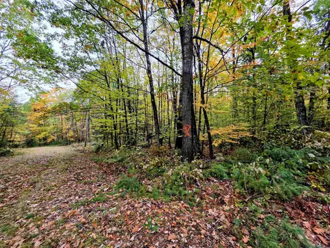 Blue Trail, Bath, NH 03740 photo 4