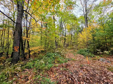 Blue Trail, Bath, NH 03740 photo 3