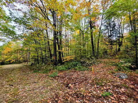 Blue Trail, Bath, NH 03740 photo 2