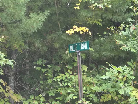 Blue Trail, Bath, NH 03740 photo 8