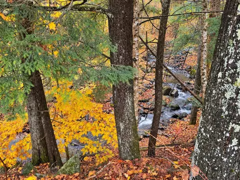 View/Area - 83 Bailey Ln, Glover, VT 05822 photo 1 of 1