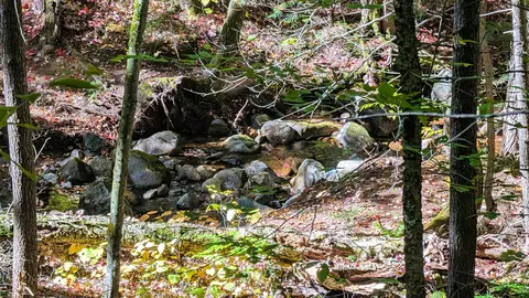 Other - 32 Grison Rd, Madison, NH 03849 photo 8 of 11