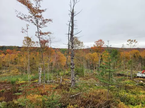 0 Sunset Dr #3, Morgan, VT 05853 photo 2