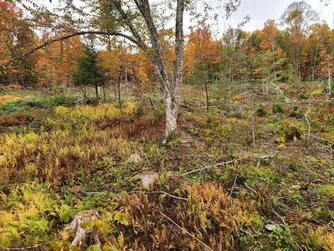 0 Sunset Dr #3, Morgan, VT 05853 photo 4