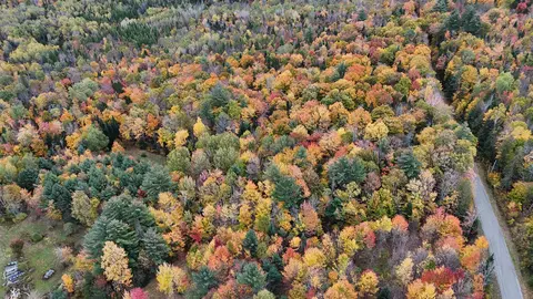 00 Fellows Rd, Guildhall, VT 05906 photo 5