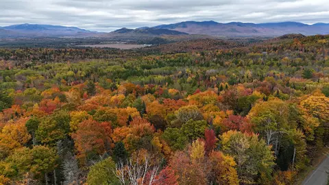 00 Fellows Rd, Guildhall, VT 05906