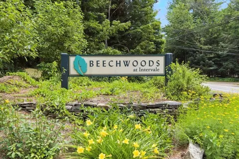 View/Area - 10 Beechwoods At Intervale, Bartlett, NH 03812 photo 9 of 9