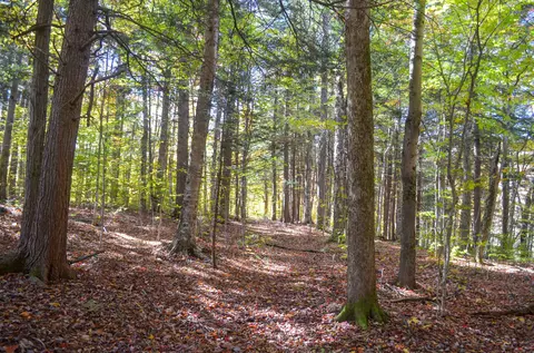 0 Burdock Ln #7, Ludlow, VT 05149