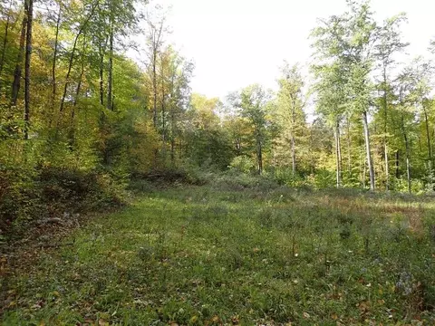 0 Old Brandon Rd, Brandon, VT 05733 photo 12