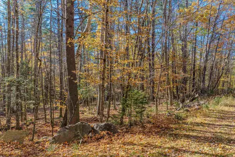 Blue Trail, Bath, NH 03740 photo 3
