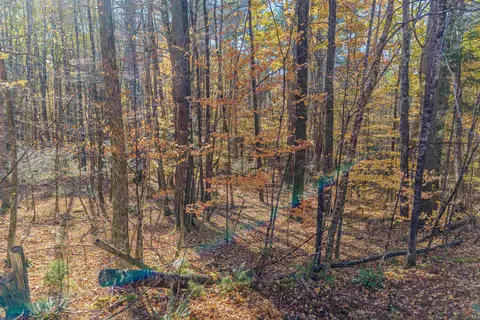 Blue Trail, Bath, NH 03740 photo 7