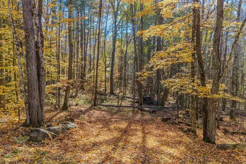 Blue Trail, Bath, NH 03740 photo 5