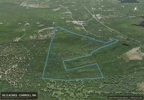1097 Province Lake Rd, Wakefield, NH 03830