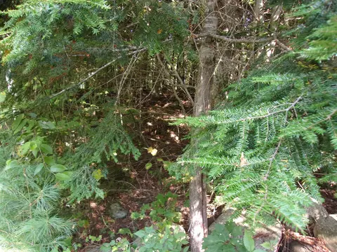 Fenn Way Circle #29, Bath, NH 03740 photo 5