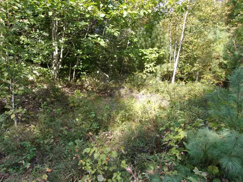Fenn Way Circle #29, Bath, NH 03740 photo 4