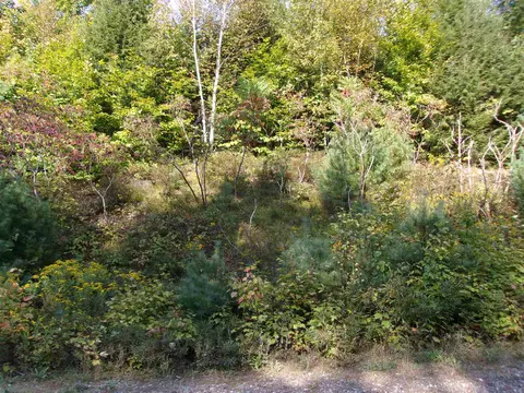 Fenn Way Circle #29, Bath, NH 03740 photo 3