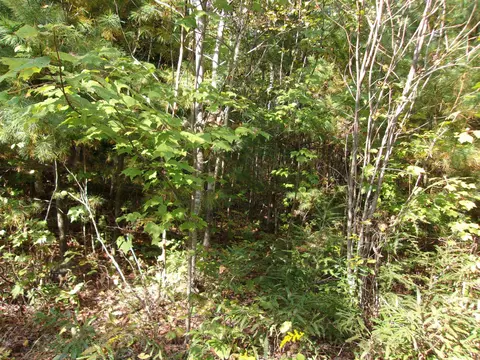 Fenn Way Circle #29, Bath, NH 03740 photo 11